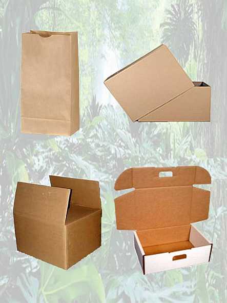 Biodegradable Plastic Packaging