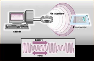 Radio Frequency Identification Technology
